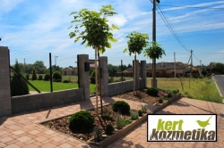 Utcafronti kert építés után (27)